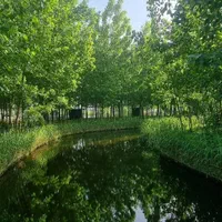 تجربه ای متفاوت/در شهری نو|فروش خانه و ویلا|تهران, وحیدیه|دیوار