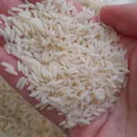 محصولات ارگانیک شمالی|خوردنی و آشامیدنی|قیدار, |دیوار