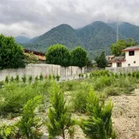 زمین با چشم‌انداز بی‌نظیر، مناسب ویلاسازی|فروش زمین و ملک کلنگی|پل سفید, |دیوار