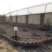 باغبانی سمپاشی گل کاری هرس تعویض خاک و گلدان|خدمات باغبانی و درختکاری|مشهد, جانباز|دیوار