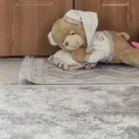 عروسک خابالو|اسباب‌‌بازی|بروجرد, |دیوار