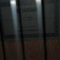 گیتار|گیتار، بیس، امپلیفایر|شهریار, شهریار|دیوار