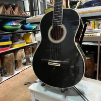 گیتارکلاسیک آریاak20 ژاپن گالری موسیقی آرتیاشهرسبز