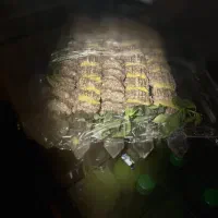 آشپز وکمک آشپز رستوران|استخدام خدمات فروشگاه و رستوران|دهبکری, |دیوار