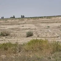 زمین برجاده