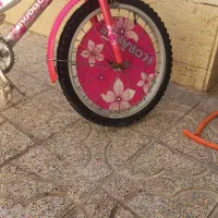 دوچرخه دخترانه فلورنس|دوچرخه، اسکیت، اسکوتر|قدس, شهر‌قدس|دیوار