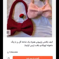 کیف بافت پاپیونی|کیف، کفش، کمربند|مشهد, شهرک ابوذر|دیوار