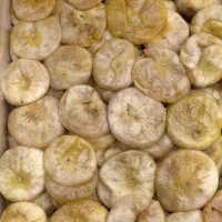 انجیر درجه یک، از تولید به مصرف