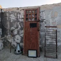 کفتر سار المانی ماده.در چخ کفتر،طور دستی و آبخوری|پرنده|مشهد, کوی دروی|دیوار