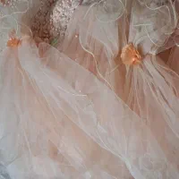 حراج لباس مجلسی نو|لباس|نیمروز, |دیوار