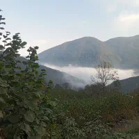 تور طبیعت گردی
