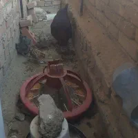 فروش مرغ و جوجه