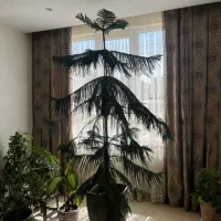کاج مطبق ۳ متری آپارتمانی