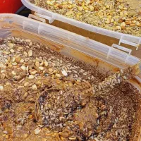 کره بادام زمینی، معجون مغزیجات|خوردنی و آشامیدنی|اهواز, باغ شیخ|دیوار