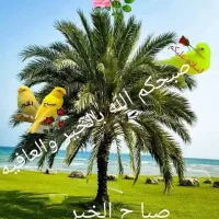 اجاره ۴۴ هکتار زمین زراعی