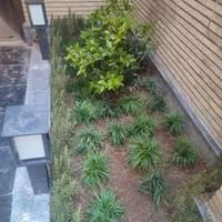خدمات حرفه‌ای باغبانی تعویض خاک گلدون کاشت گل|خدمات باغبانی و درختکاری|تهران, اقدسیه|دیوار