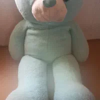 خرس ابی خیلی خوشگل