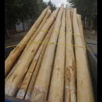 خریدچوب وکنده درخت وچوب سقفی و ریشه|خدمات باغبانی و درختکاری|نیشابور, باغرود|دیوار