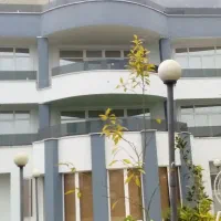 نقاش ساختمان با کناف