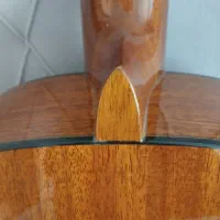 گیتار آریا AK80