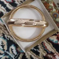 بدلیجات