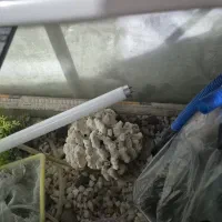 آکواریوم ۱۱۰در ۵۰ در ۴۰|ماهی|زنجان, |دیوار