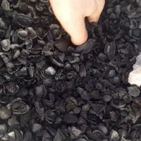 کربن پسته درجه یک