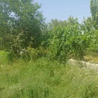 فروش باغ در فیرورق نزدیک جاده|فروش زمین و ملک کلنگی|فیرورق, |دیوار