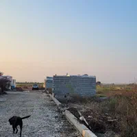 زمین جهت ویلا وگلخانه