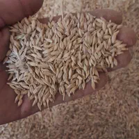 خار، کاه، پرس|لوازم جانبی حیوانات|مشهد, شهرک شهید باهنر|دیوار