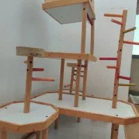 شهر بازی طوطی و عروس|لوازم جانبی حیوانات|قم, چهار مردان|دیوار