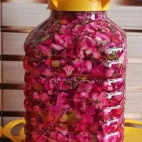 تولید و پخش خیار شور و ترشیجات ۸۰۰۰۰|خوردنی و آشامیدنی|شهریار, شهرک بهاران (ویره)|دیوار