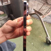 iPhone 14 Pro|موبایل|تهران, ولنجک|دیوار