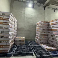 جت هیتر ایستاده بخاری برقی تابشی 2/5 کم مصرف|بخاری، هیتر، شومینه|رشت, انصاری|دیوار