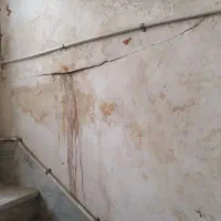 اجاره سوئیت ۳۰ متری زیر همکف در آلوچو