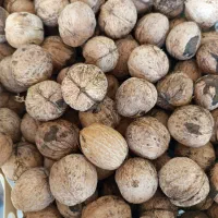 با سلام فروش مرغ وگردو
