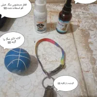 لوازم سگ وگربه|لوازم جانبی حیوانات|مشهد, علی آباد|دیوار