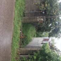 زمین با سند تک برگ مسکونی راسته کنار -گلستان|فروش زمین و ملک کلنگی|خمام, |دیوار