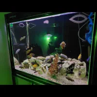 آکواریوم شرکتی risheng