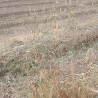زمین-فروشی
