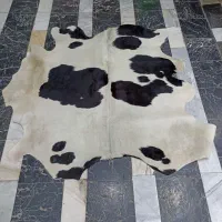 پوست گاوی|صنایع دستی و سایر لوازم تزئینی|میانه, |دیوار