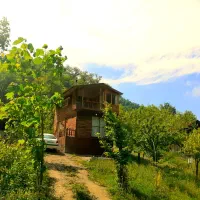 کلبه جنگلی زرین دشت جکوزی دار لفور