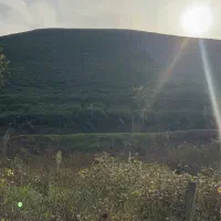 فروش-زمین-1700-متر-کوهپایه