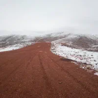 باسلام فروش فوری زمین باغ شهری