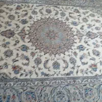 فرش دست بافت ۳*۲|فرش|اصفهان, جامی|دیوار