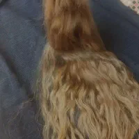 خ .ف (خریدو فروش ) خریدار مو