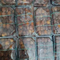 رطب درجه یک کبکاب هایله و برهی