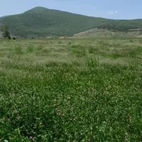 اجاره زمین چهاردیواری محصور شده شهرک طالقان