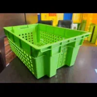 سبد خرگوشی چپ و راستی