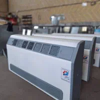 فنکوئل زمینی دکوراتیو